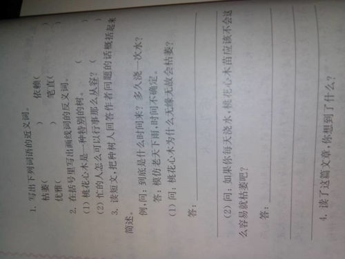 《桃花木心》 阅读答案