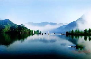 丽水市莲都区，丽水市莲都区天气预报