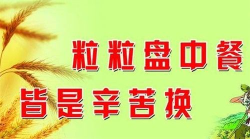 节约粮食优秀作文