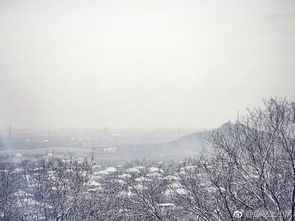 “绿水无忧,因风皱面;青山不老,为雪白头”是什么意思
