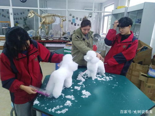 现代殡仪技术与管理就业前景
