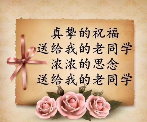 关于老同学友情的句子