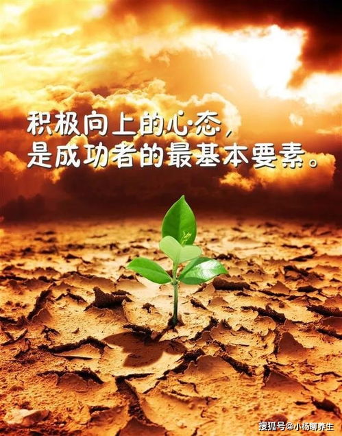 拼搏努力正能量的句子