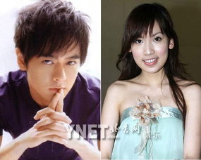 林志颖和陈若仪大几岁