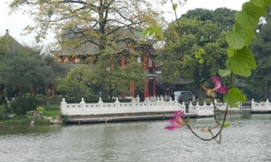 地铁沙贝站咋去广州中山公园