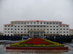 095515宁夏是什么电话，宁夏96555是什么电话