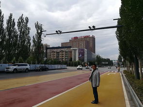 社会综合治理，社会综合治理服务中心