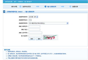 计算机二级成绩查询官网入口