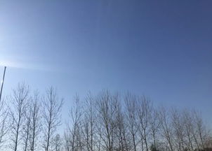 你在南方的艳阳里大雪纷飞是什么歌的歌词