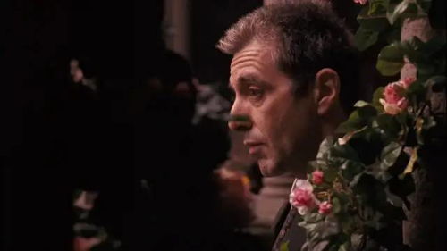 教父会续拍教父4吗?