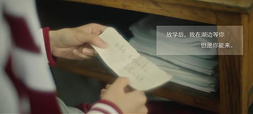 玫读什么?