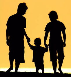 一件感人的事作文500字