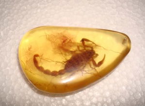 大家帮我看看这个琥珀是不是真的呢?谢谢大家