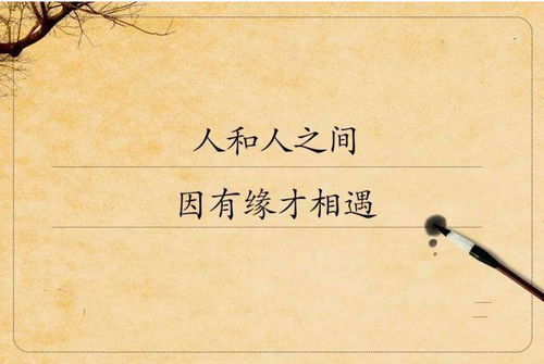 爱情的经典语录