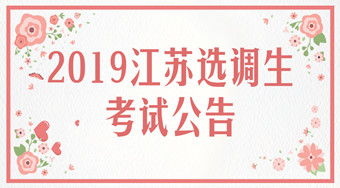 江苏省选调生报名要求