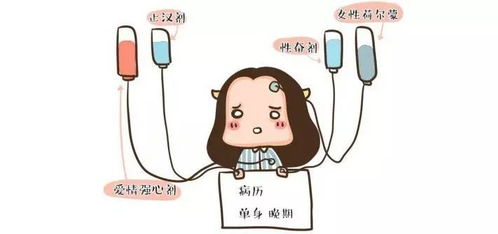 前因后果的意思