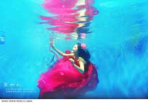 鱼和水的唯美句子