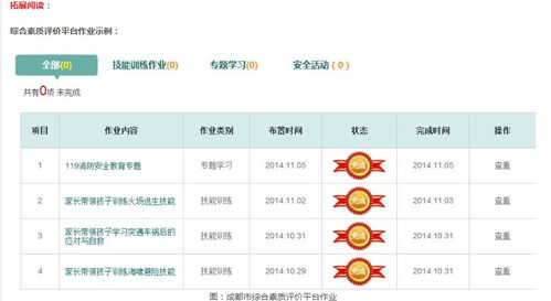 成都市综合素质，成都市综合素质教育平台