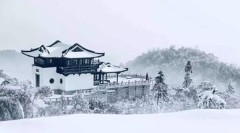 青山不老为雪白头，青山不老为雪白头绿水无忧因风皱面的意思