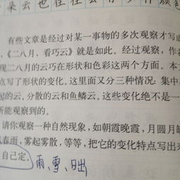 关于雪的作文，关于雪的作文600字左右