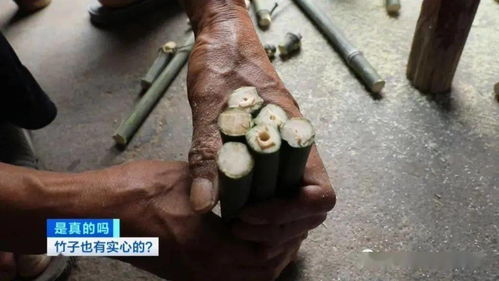 山中竹笋嘴尖皮厚腹中空,下句是什么?