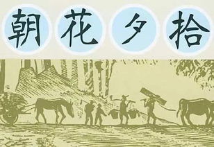 朝花夕拾好词好句摘抄