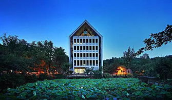 四川美术学院2013成绩查询