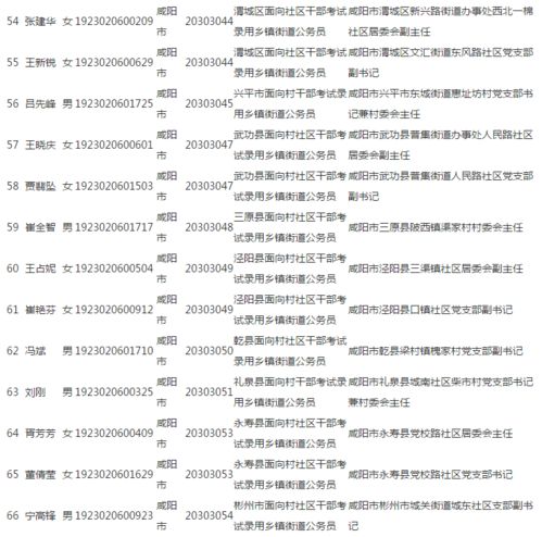 2021乡镇统计人员工作总结职责