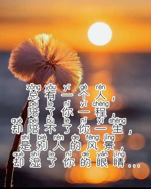 抖音超火的句子