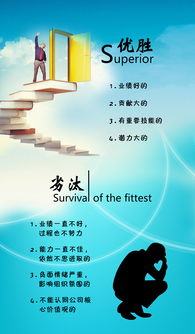 什么是优胜劣汰?