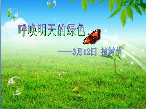 植树造林主题班会内容