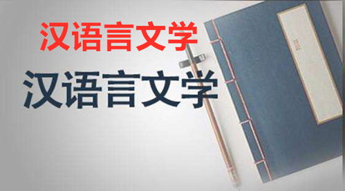 汉语言文学的考研方向。