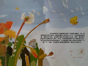 《一粒种子的旅行》读后有感600字