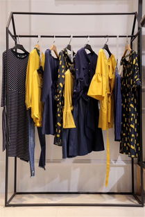 服装销售，服装销售管理系统