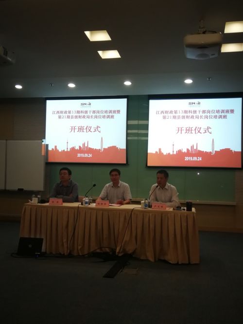 《隐秘而伟大》中,丁放的真实身份是什么?