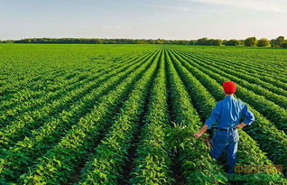 农业工程专业是坑吗