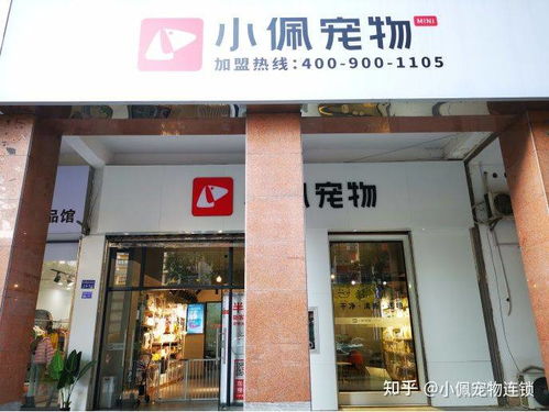 开一家宠物店一年可以赚多少