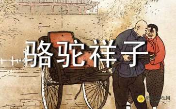 读《骆驼祥子》的感想与收获