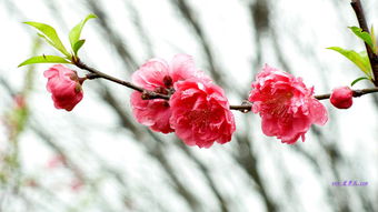 开关插座十大排名