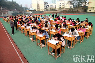 我眼中的校园作文