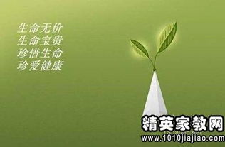 生命的意义感悟，活出生命的意义感悟