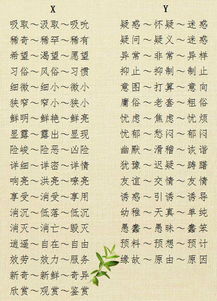 反映的近义词是什么