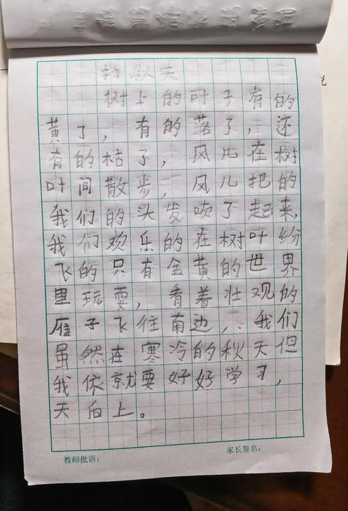 找春天的作文，找春天的作文300字
