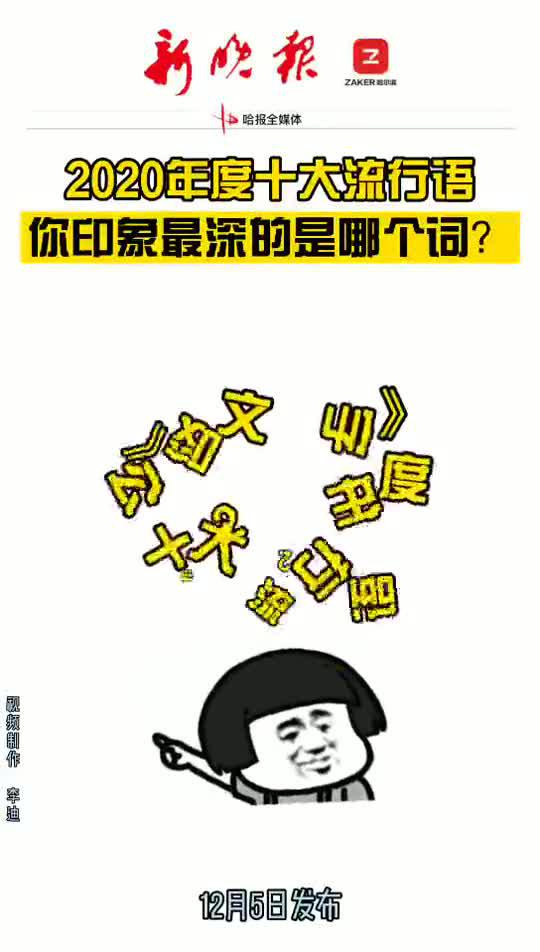 流行语，流行语言网络语言
