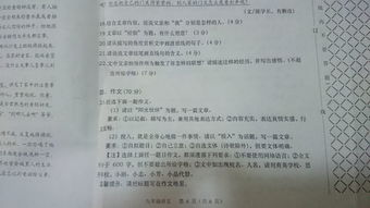 初三以因为有你为题的作文600字