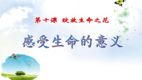 对生命的意义的感悟