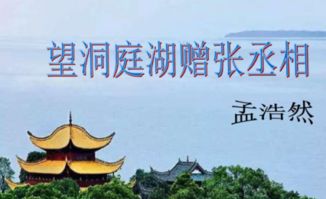 和月有关的诗句有哪些?