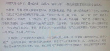 以兴趣为话题的初中作文