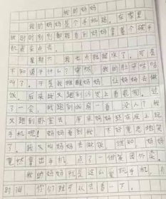 我爱我的妈妈作文300字