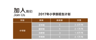 合肥世界外国语学校学费多少，合肥世界外国语学校学费多少钱